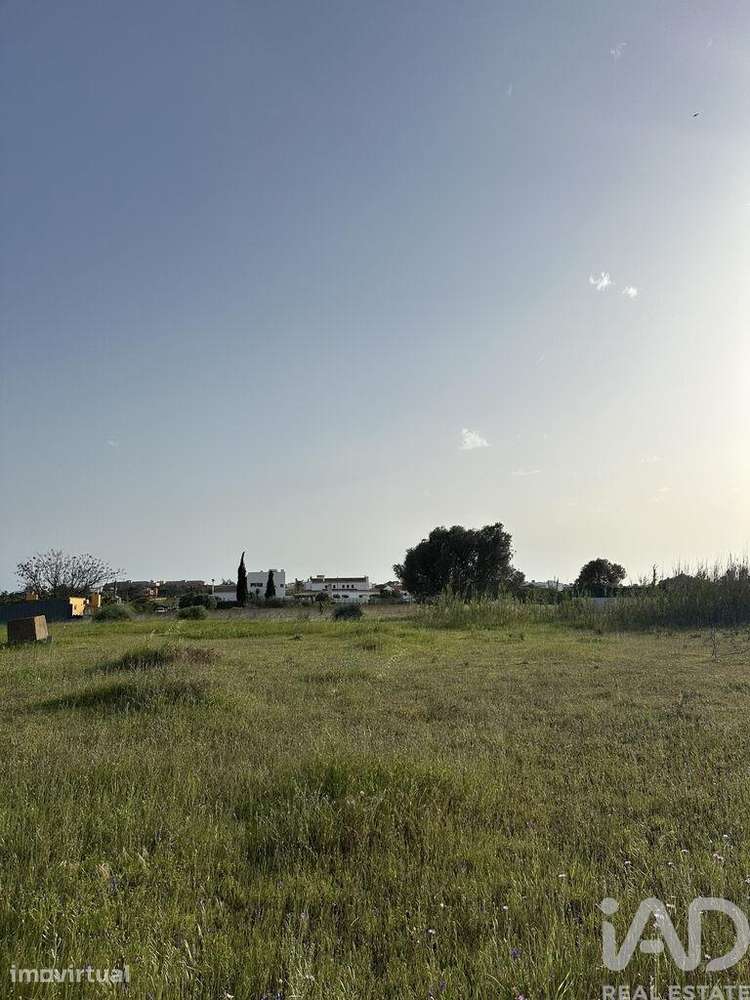 Terreno Agrícola em Guia de 2960,00 m2 - Grande imagem: 2/5