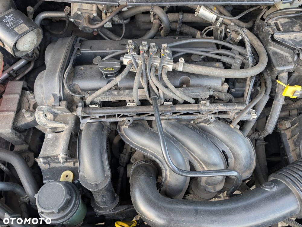 Ford Focus 1.6 FX Gold / Gold X - 14