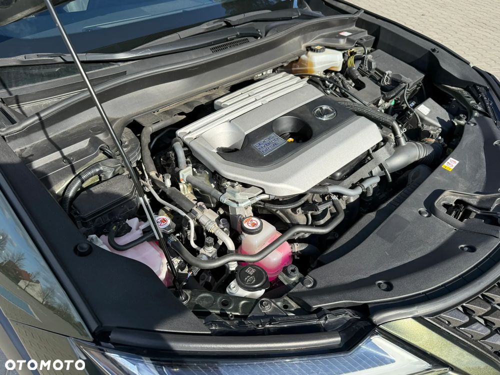 Lexus UX 250h F Sport 2WD - 19