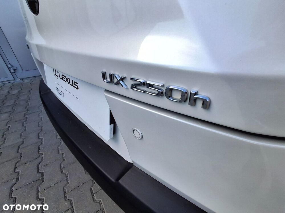 Lexus UX 250h GPF Business 2WD - 16