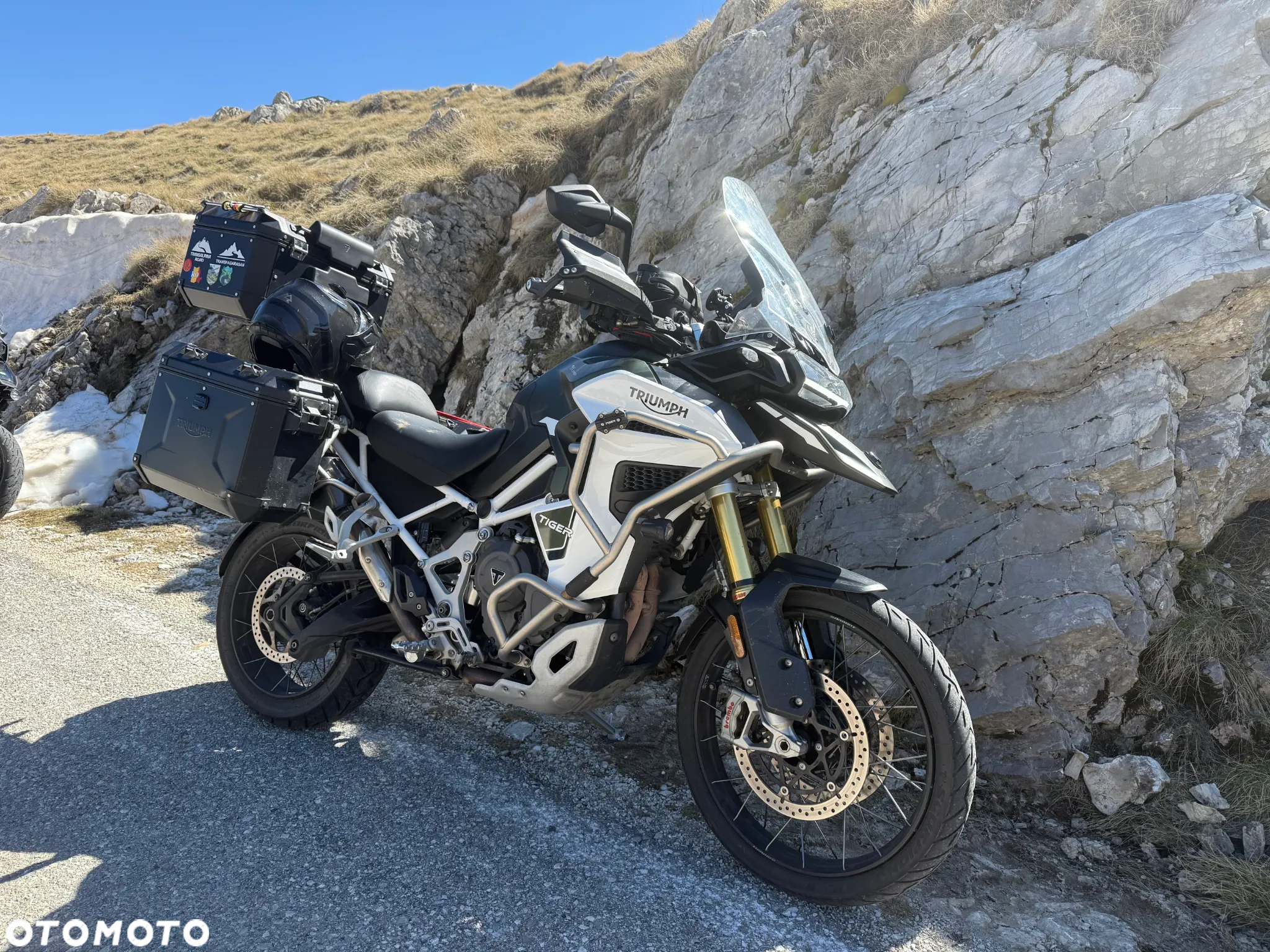 Triumph Tiger - 30