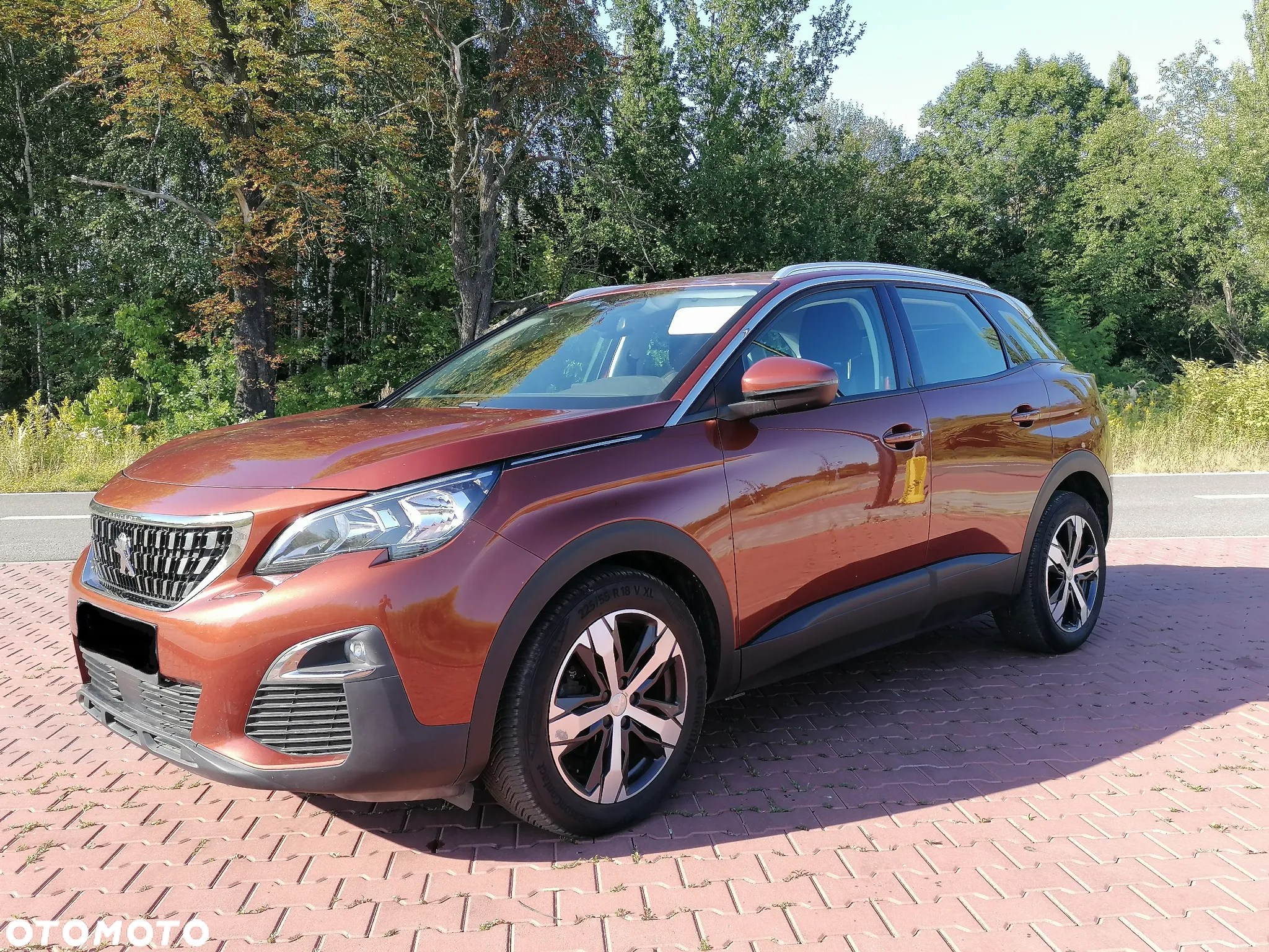 Peugeot 3008 1.6 BlueHDi Active S&S - 3