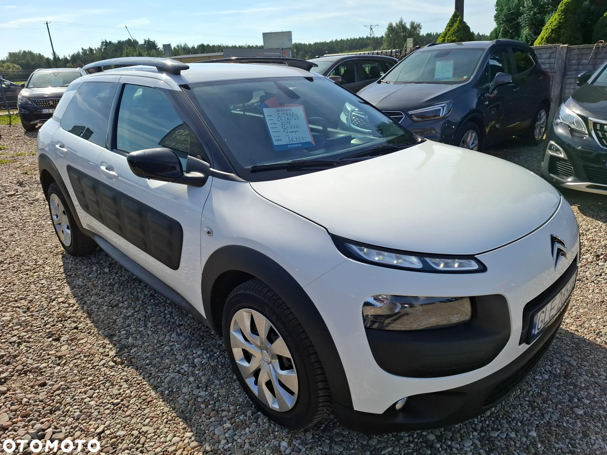Citroën C4 Cactus 1.2 PureTech Feel Elite EU6 - 4
