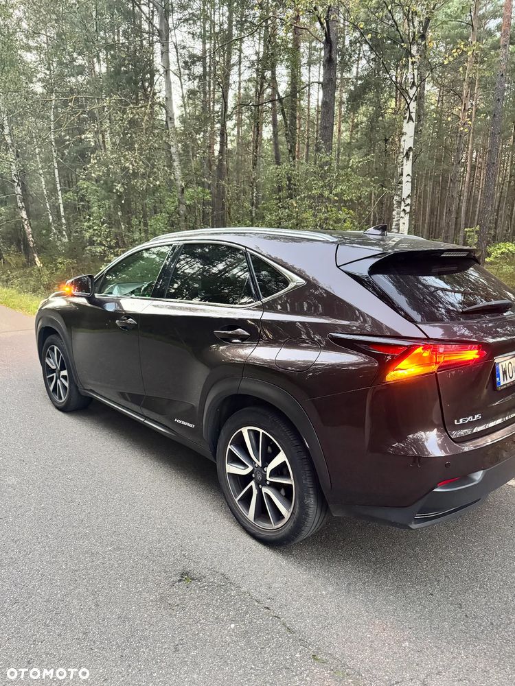 Lexus NX - 7