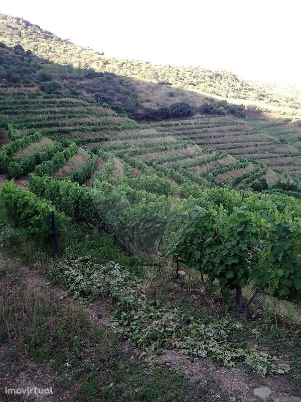 Terreno  para venda - Grande imagem: 2/3