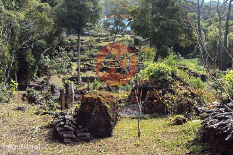 Venda Moradia - Grande imagem: 3/57