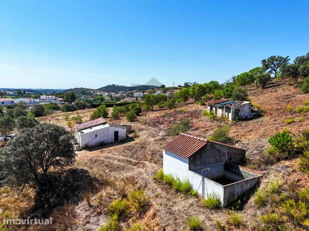 Quinta com 18.750 m² e Moradia para venda em Mexilhoeira Grande - Grande imagem: 2/32