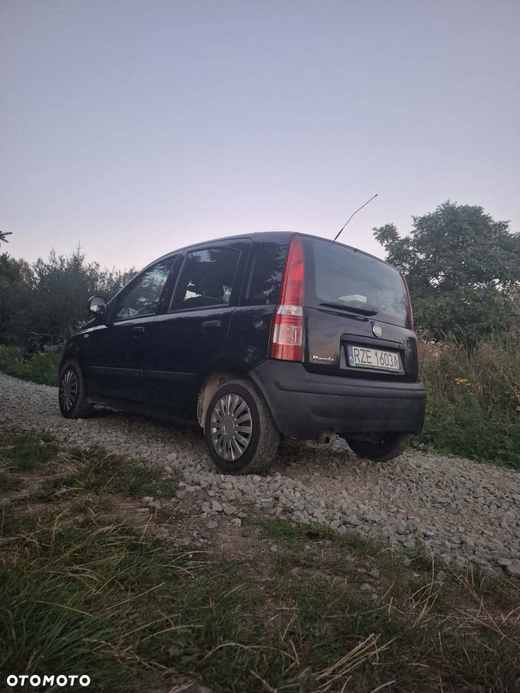 Fiat Panda 1.2 Classic Eco - 4