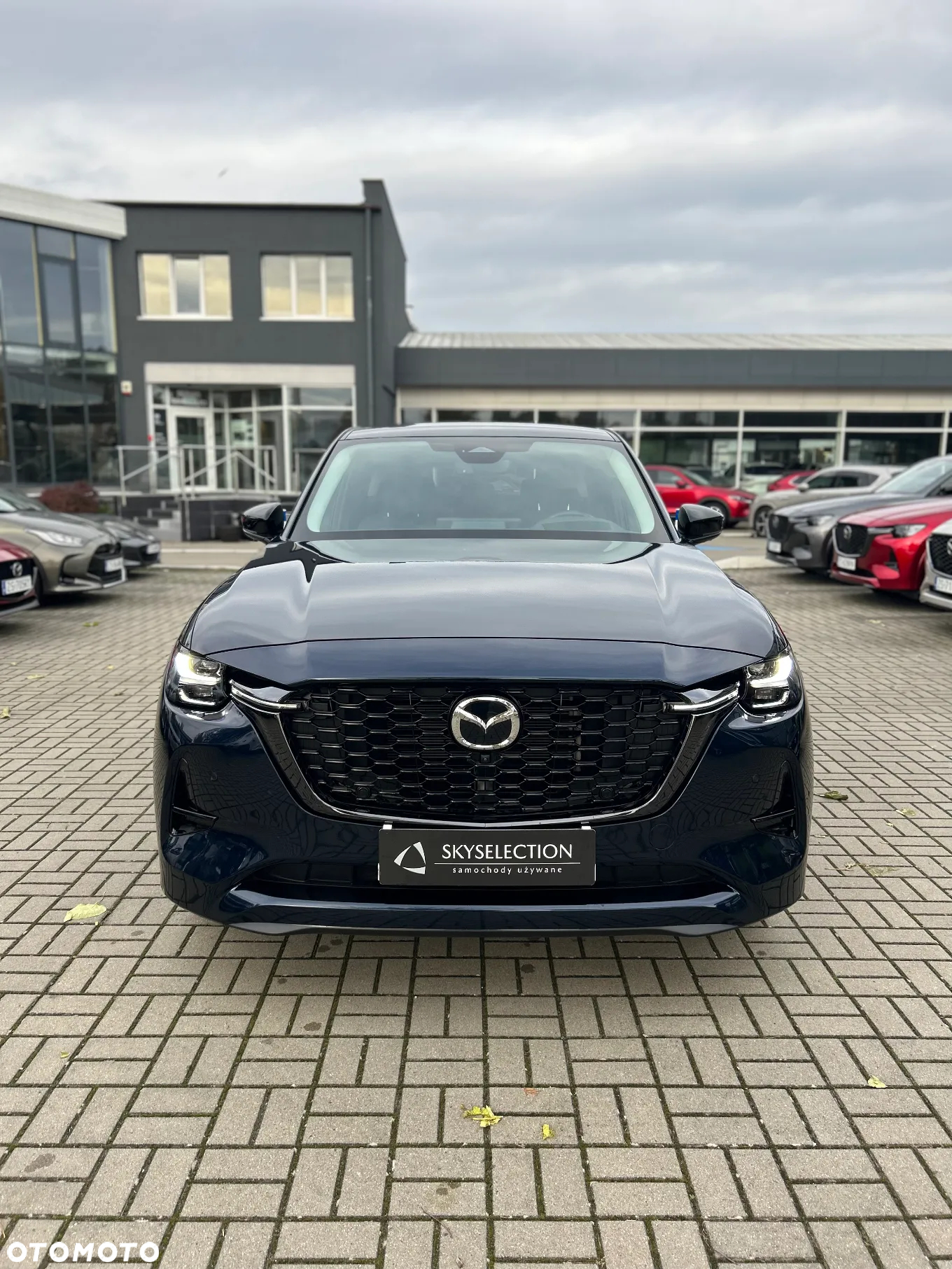 Mazda CX-60 2.5 PHEV Homura AWD - 2