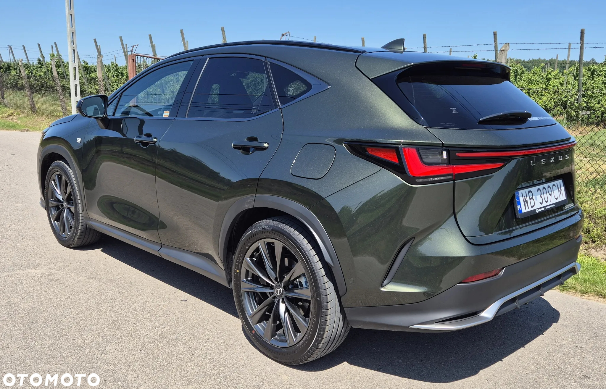Lexus NX 350h F Sport AWD - 3