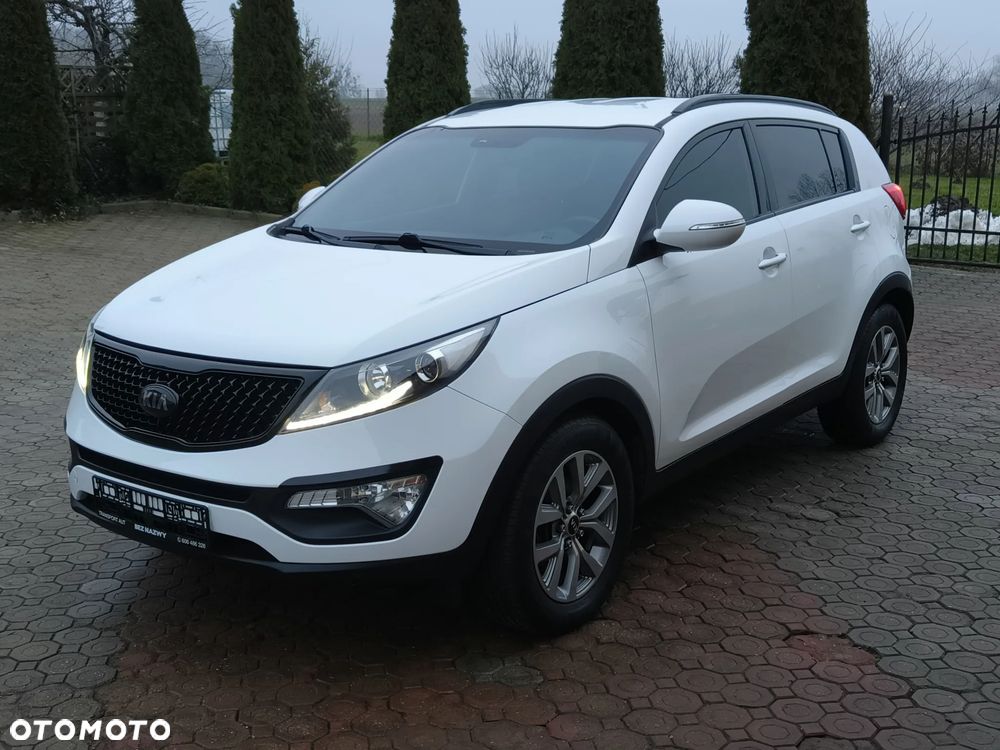 Kia Sportage - 1