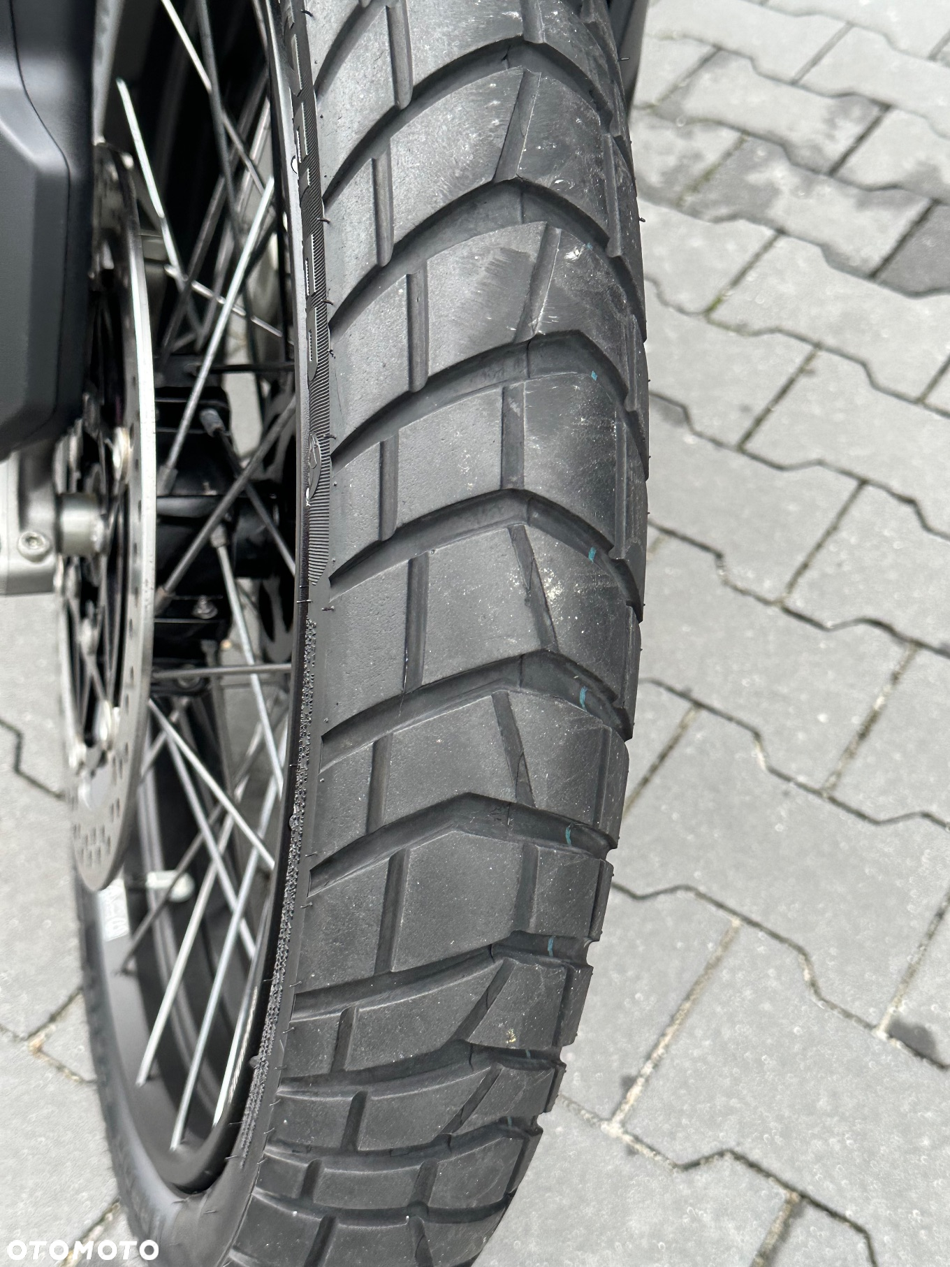 Triumph Tiger - 22