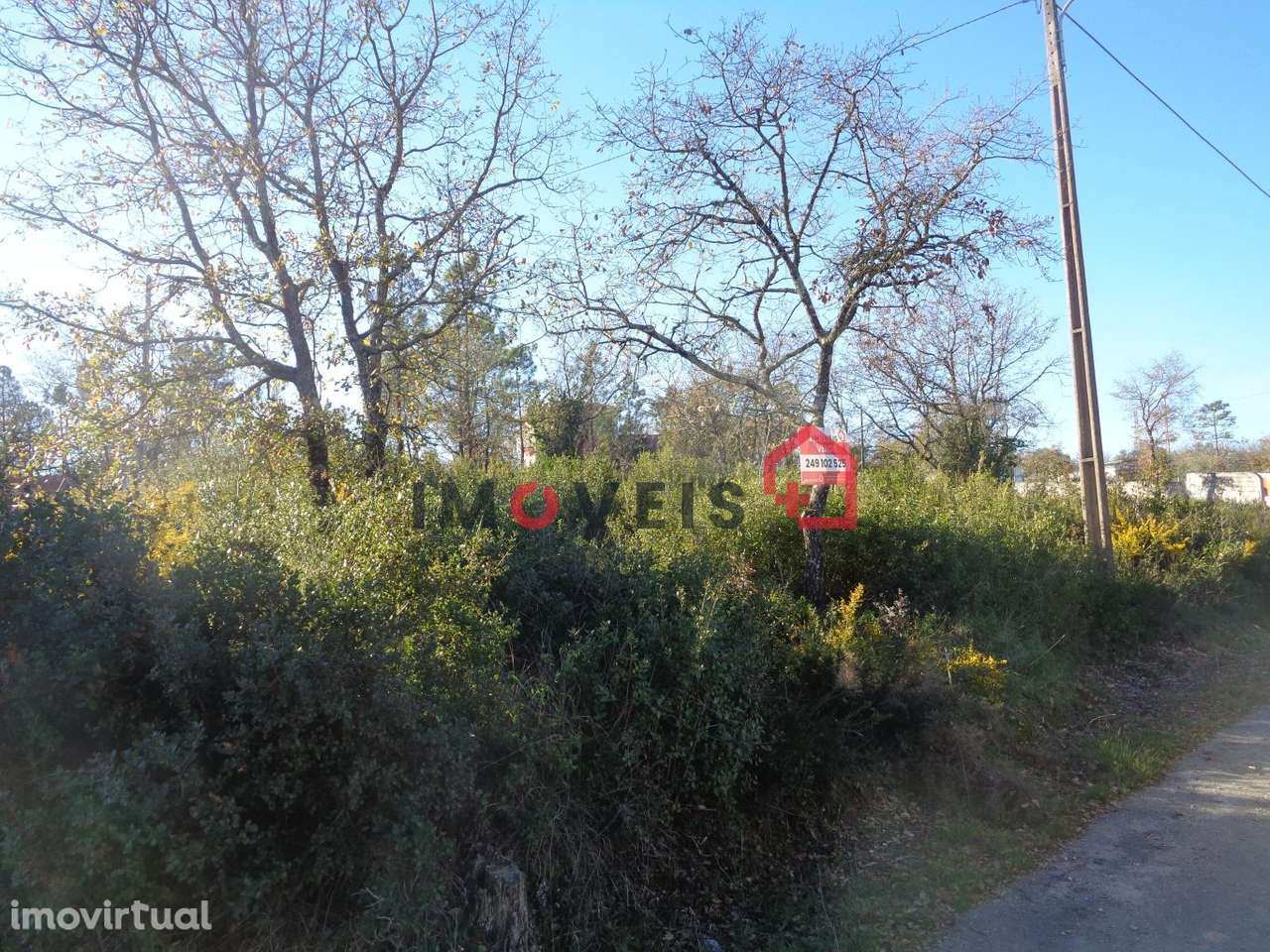 Lote Terreno - Grande imagem: 4/4