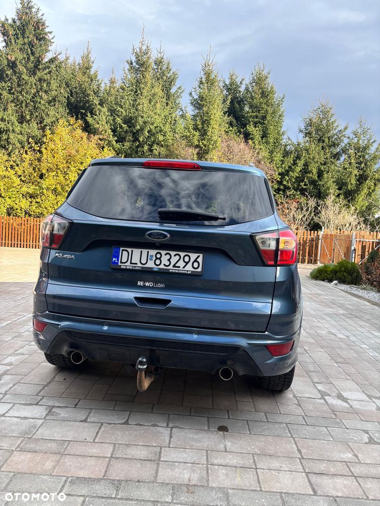 Ford Kuga 2019 photo 3