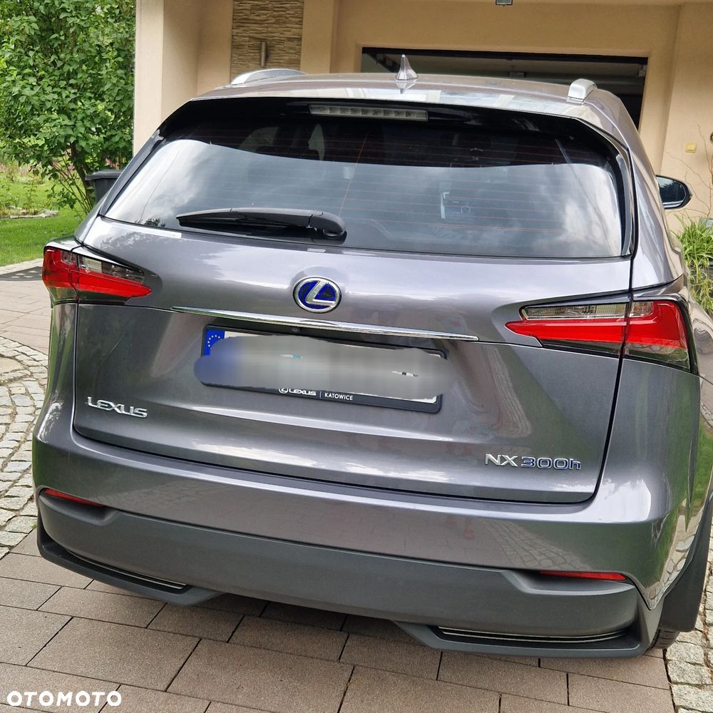 Lexus NX - 6