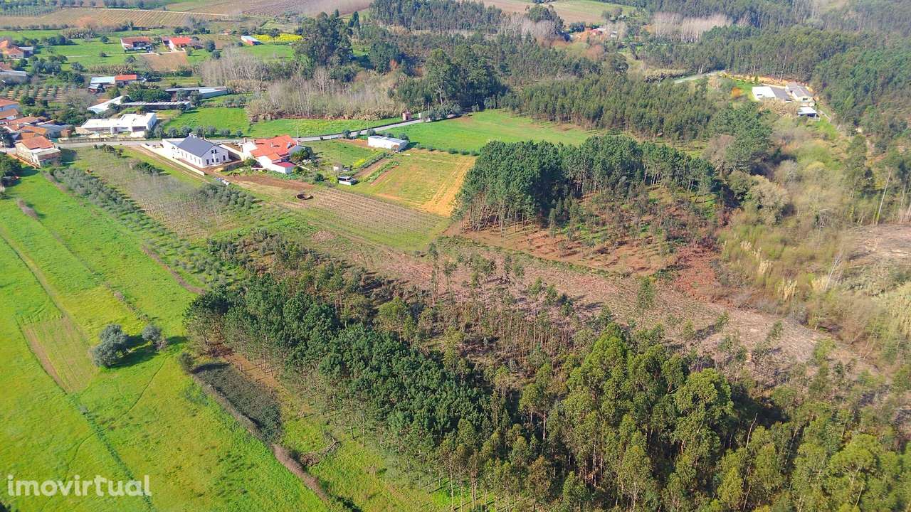 Terreno com viabilidade de construção em Vilarinho do Bairro - Grande imagem: 5/9