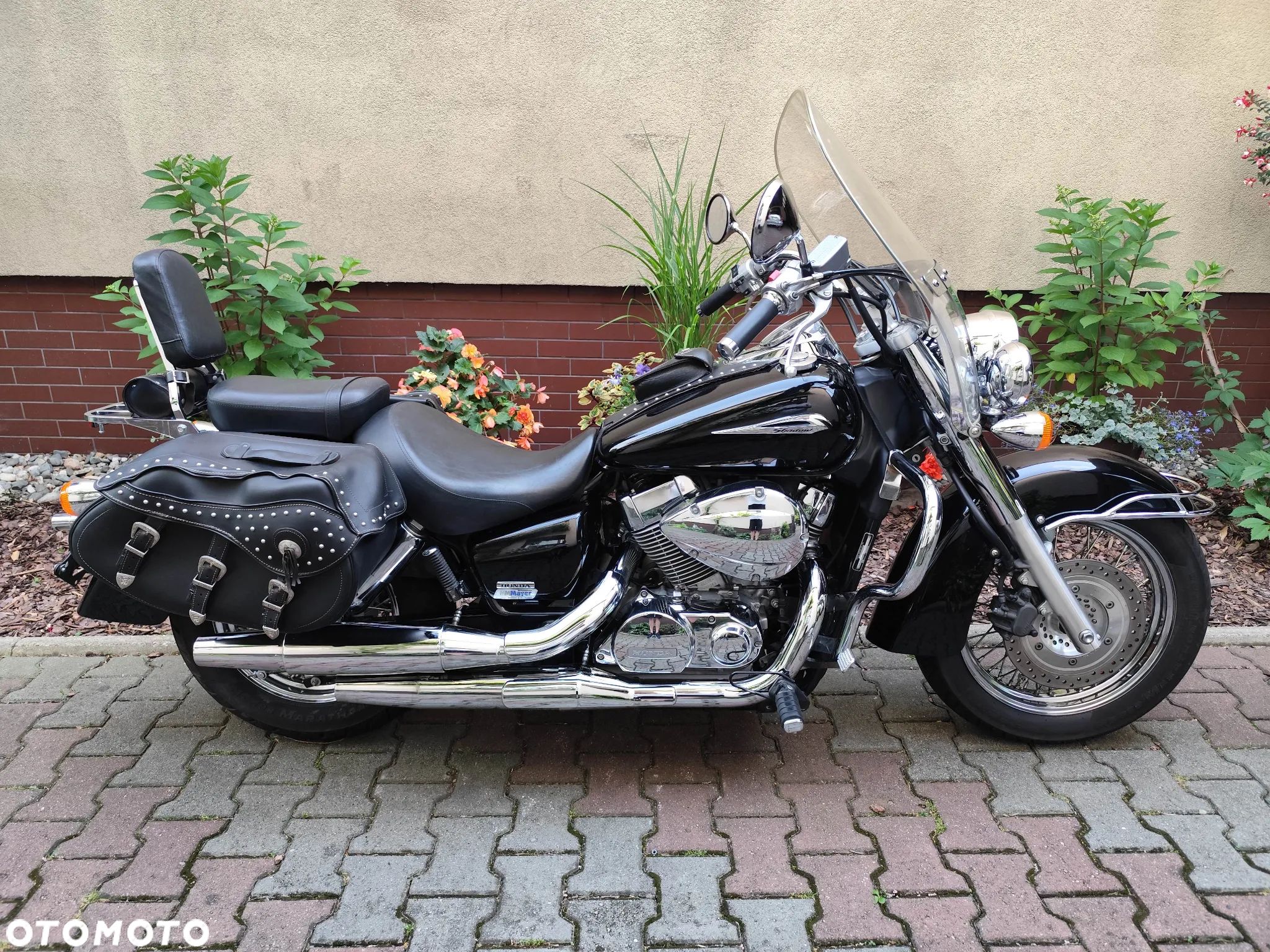Honda Shadow - 1