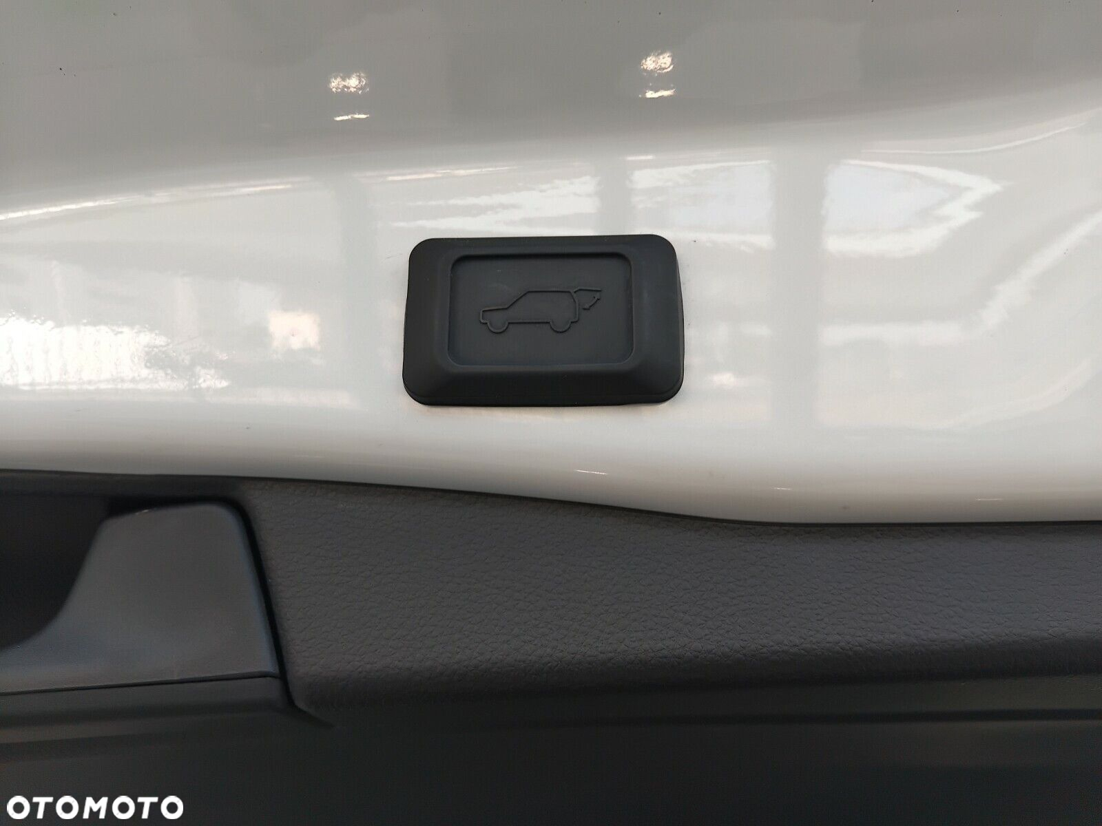 Suzuki Across - 8