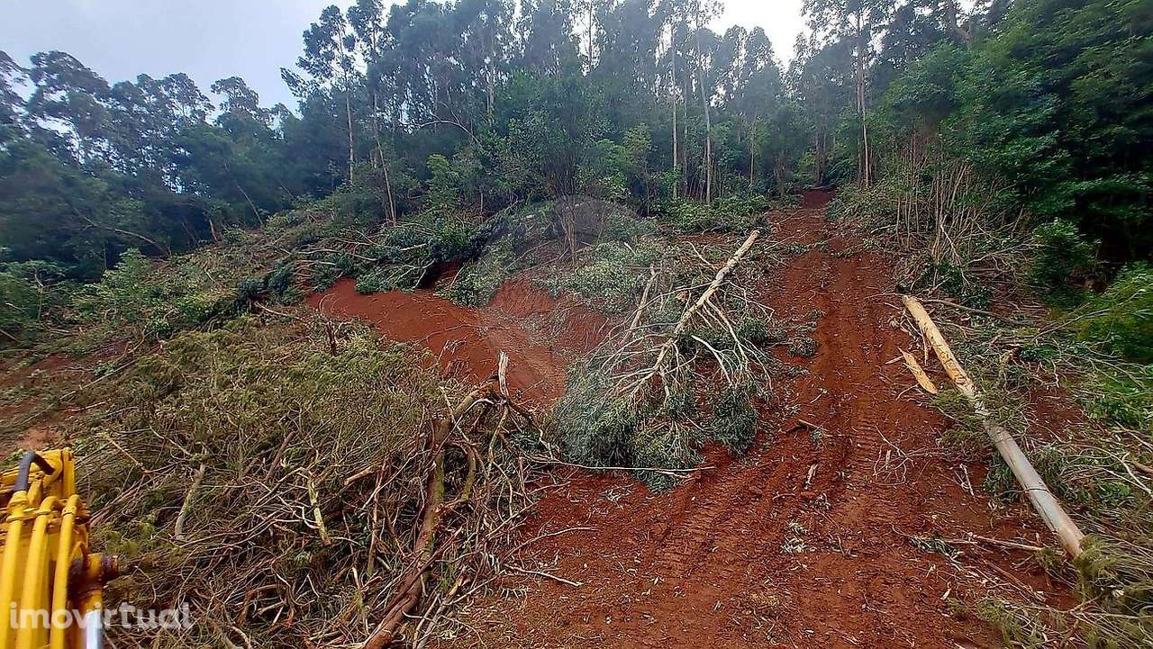 Terreno  para venda - Grande imagem: 5/6