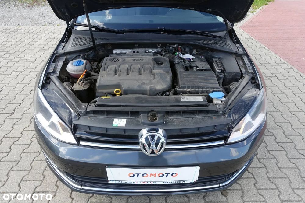 Volkswagen Golf 1.6 TDI BlueMotion Technology DSG Allstar - 38