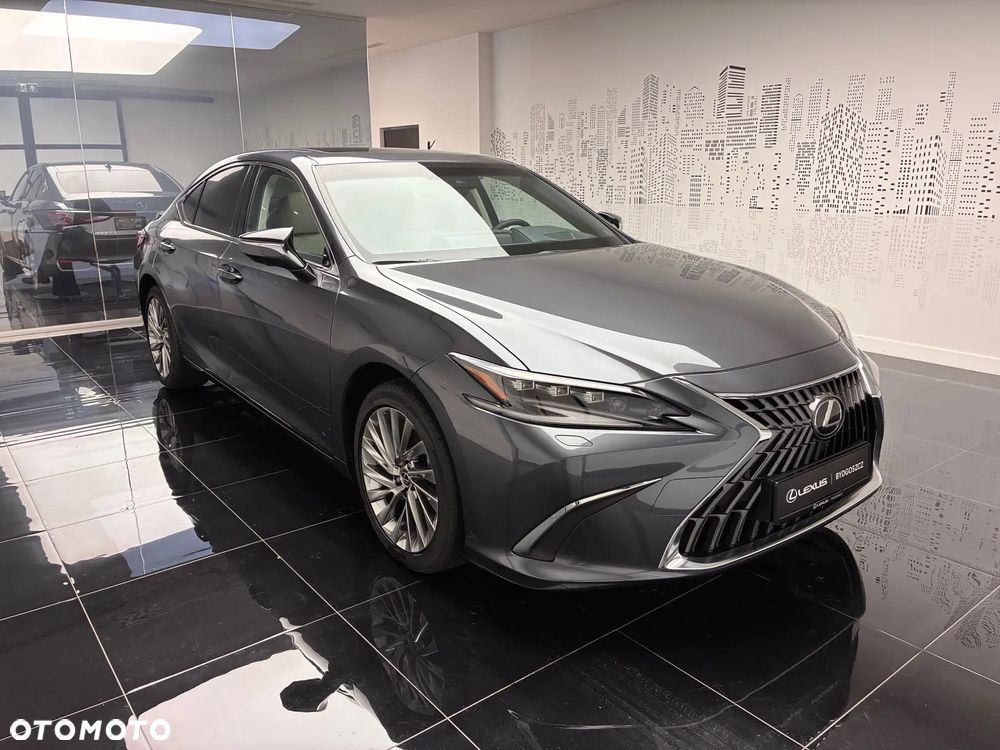 Lexus ES 300h Omotenashi - 17