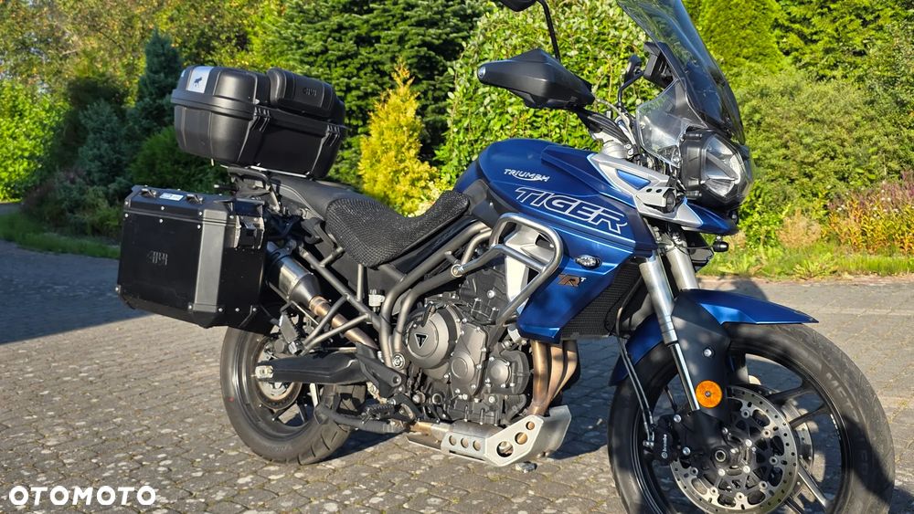 Triumph Tiger - 1