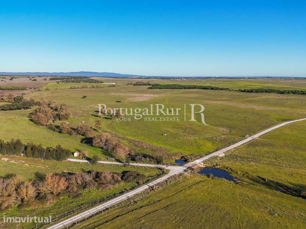 Herdade com 960 hectares na região de Évora - Grande imagem: 3/19