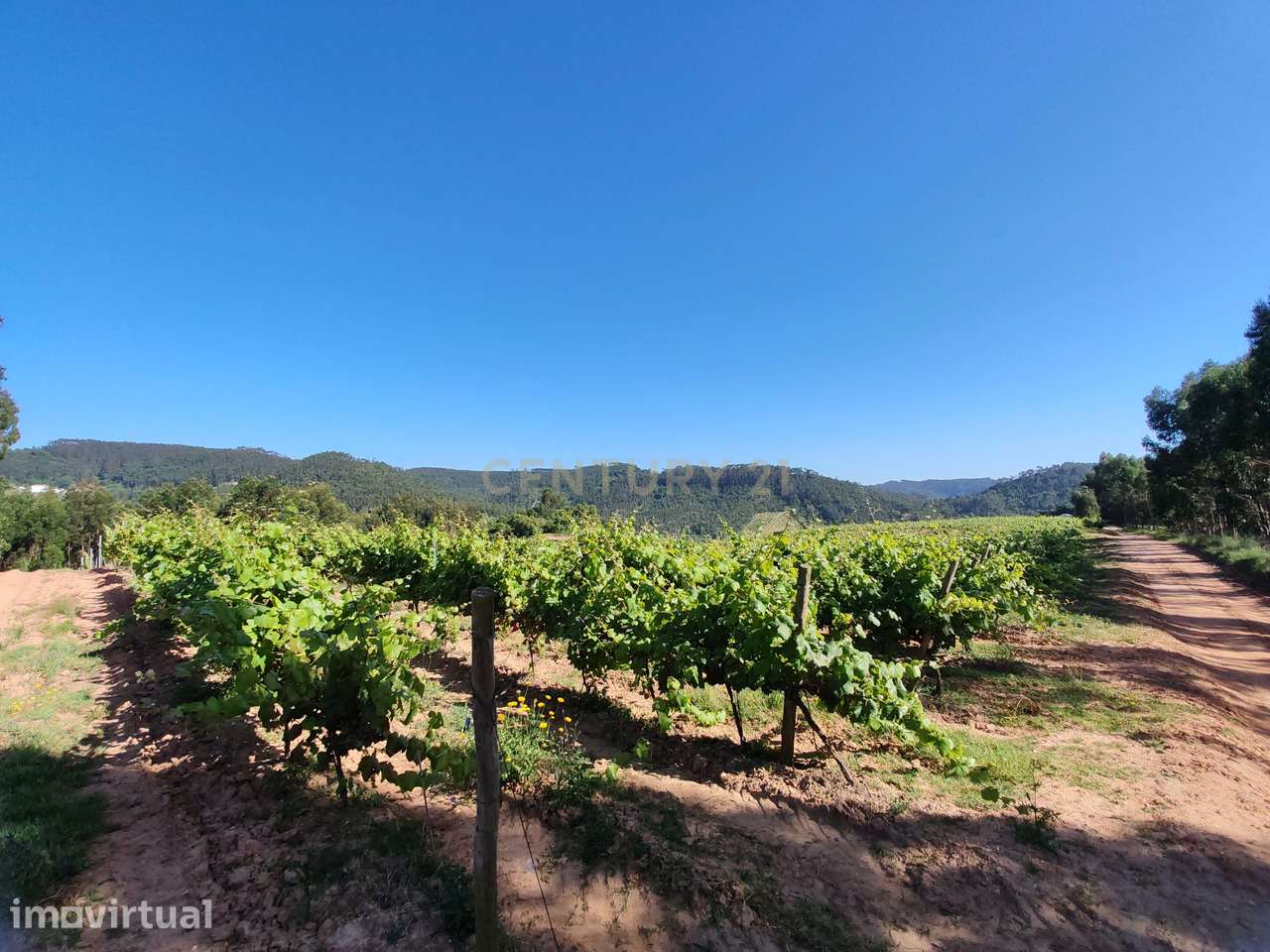 Terreno com 21 hectares - Mafra - Grande imagem: 2/10
