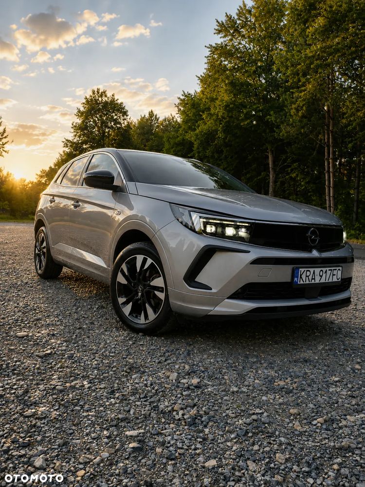 Opel Grandland X 1.5 CDTI Elegance Business Pack S&S - 14