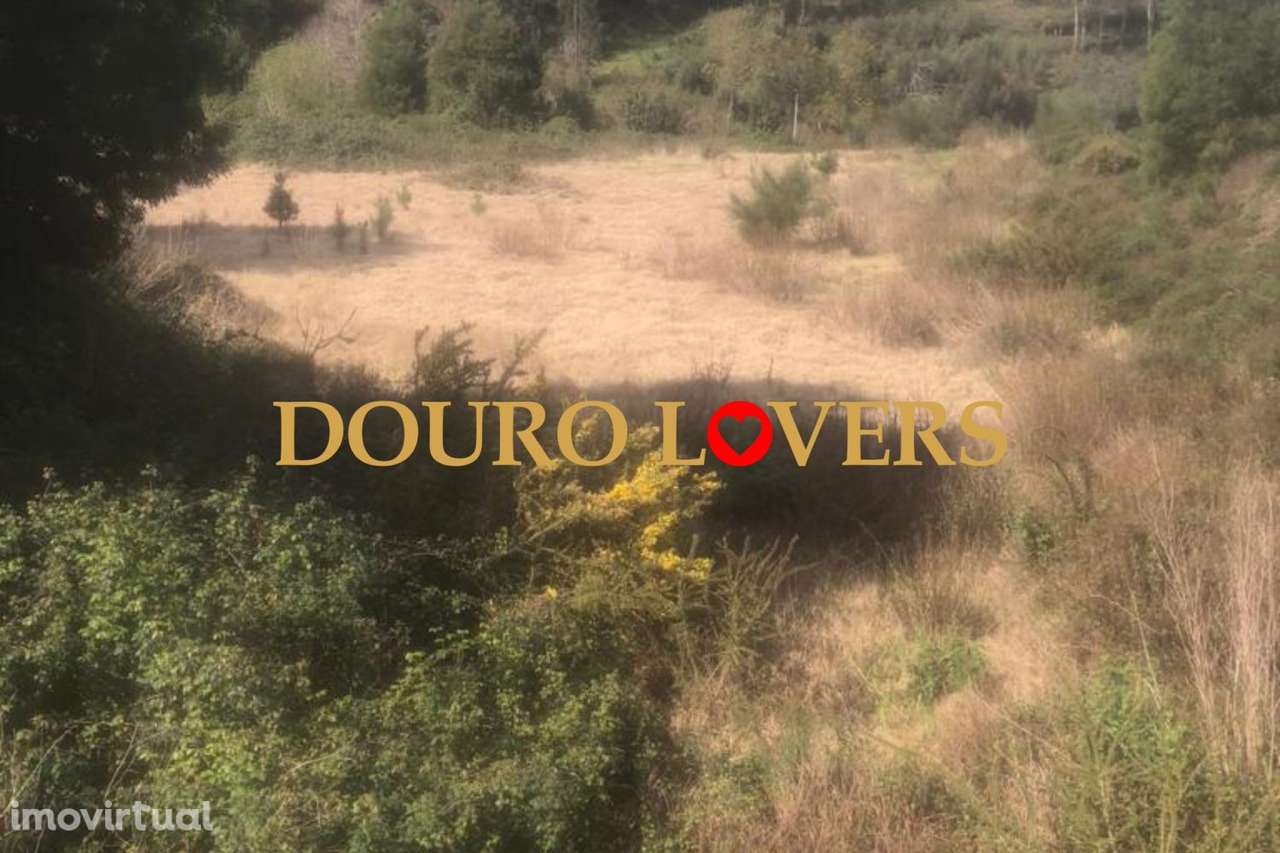 Terreno em Crestuma, Vila Nova de Gaia, a 200 mts do rio Douro - Grande imagem: 4/6