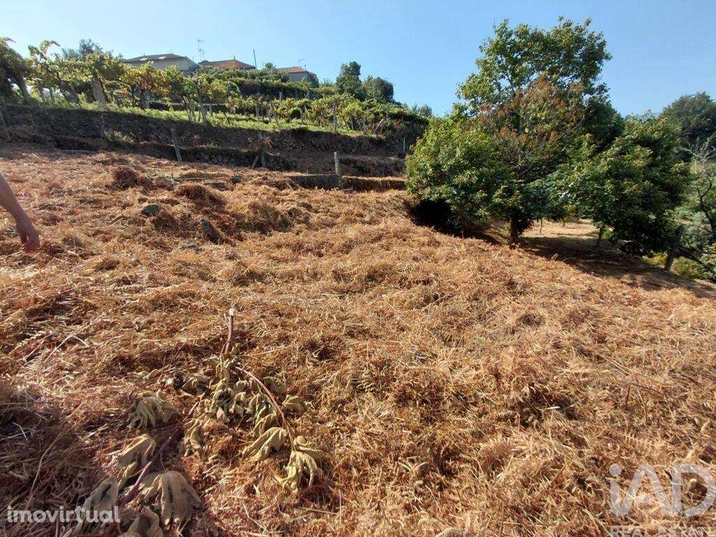 Terreno em Vila e Roussas de 1100,00 m2 - Grande imagem: 2/9