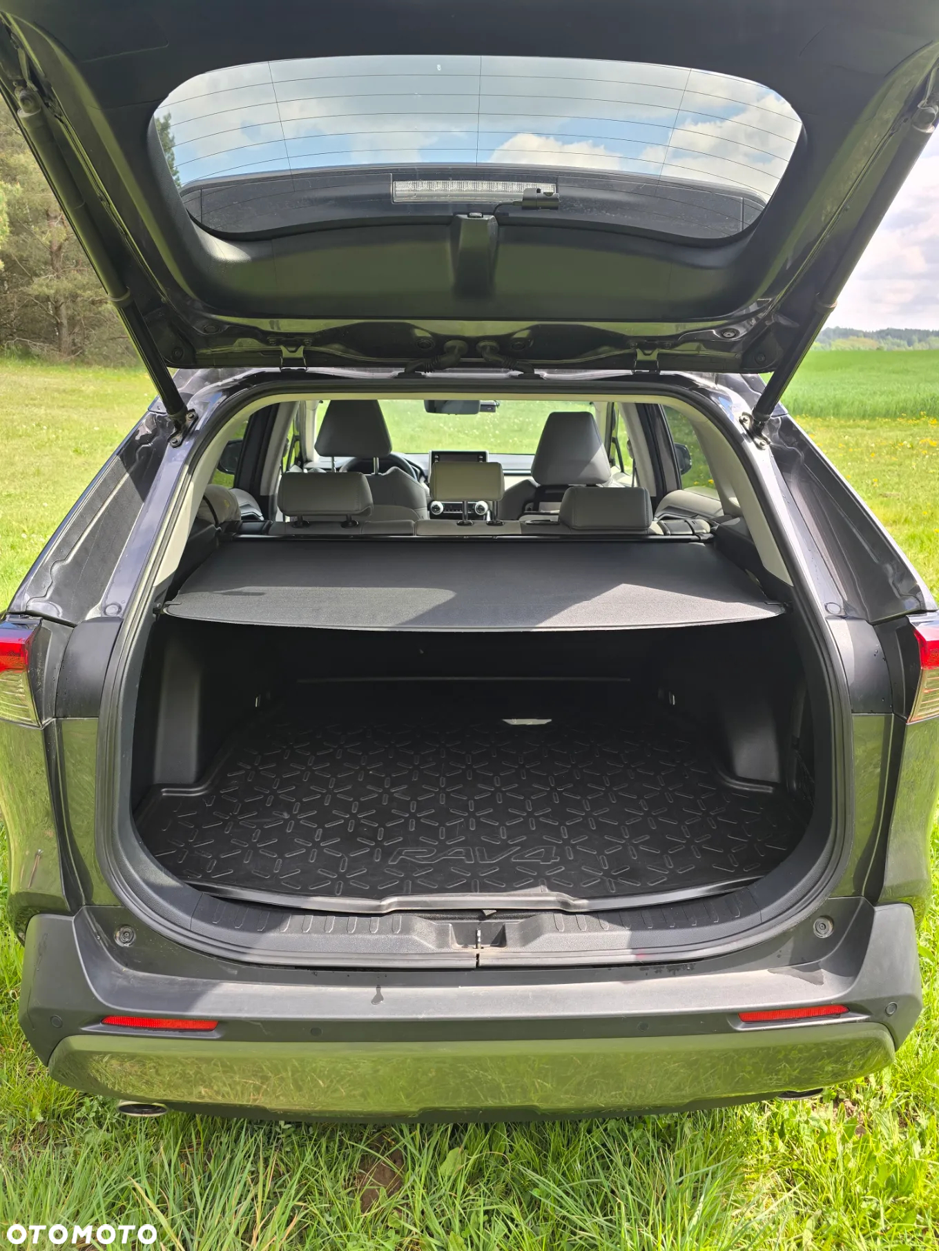 Toyota RAV4 2.5 Hybrid Executive 4x2 - 7