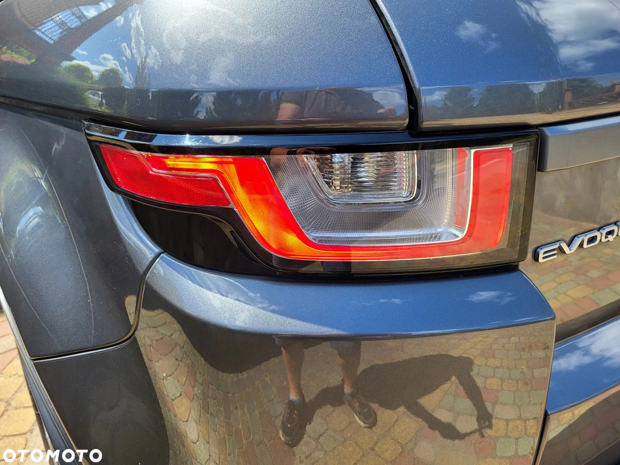 Land Rover Range Rover Evoque 2.0TD4 SE Dynamic - 8