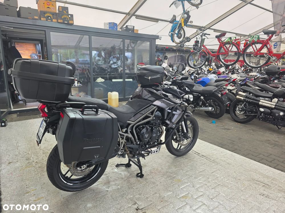 Triumph Tiger - 20