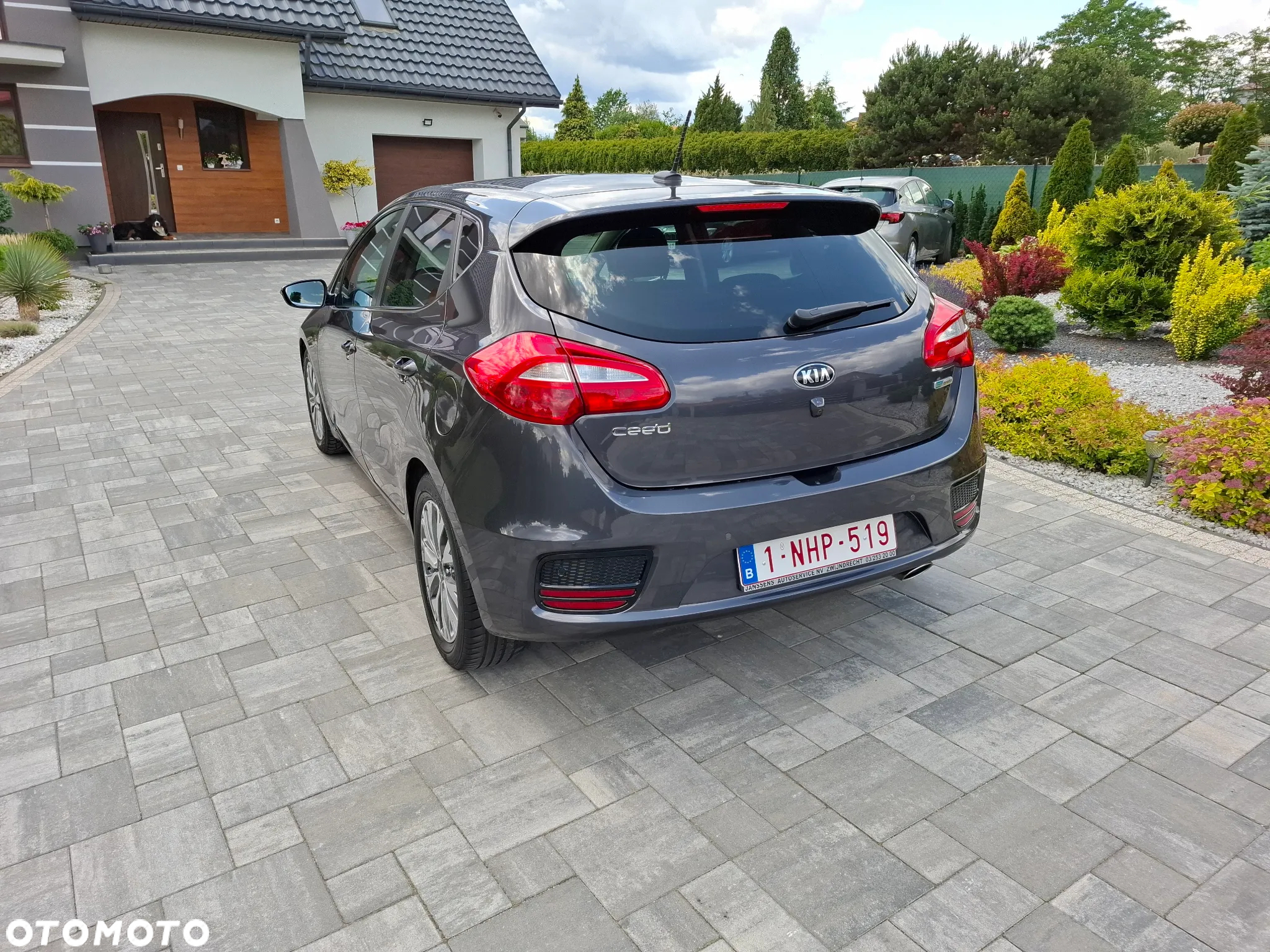 Kia Ceed 1.0 T-GDI 120 OPF Edition 7 - 10