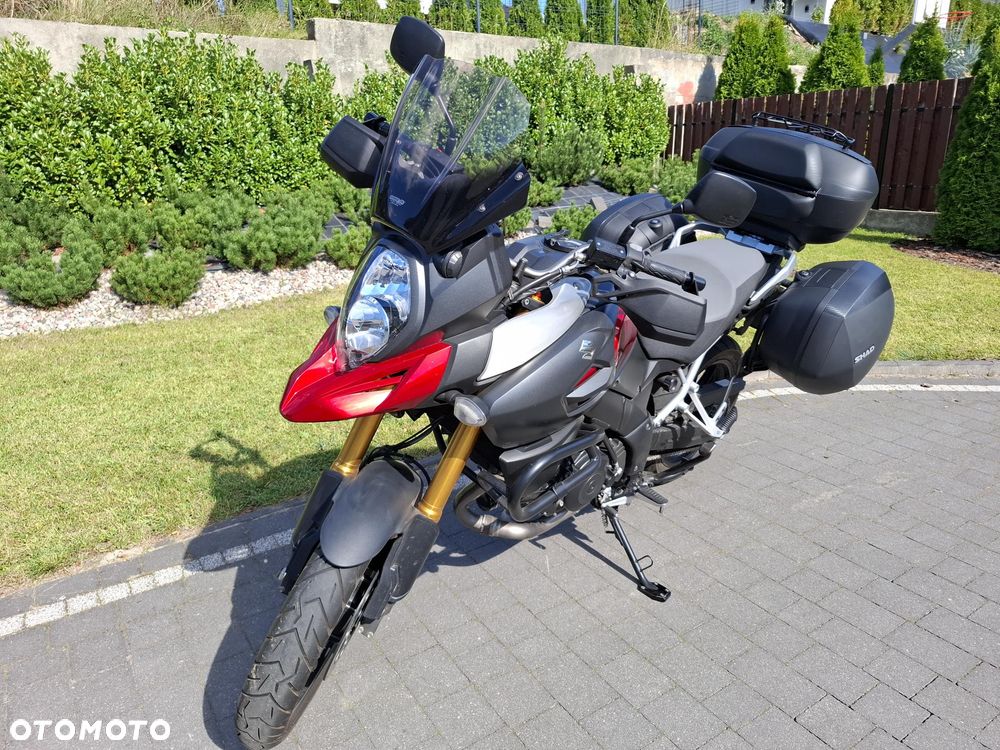 Suzuki DL - 2