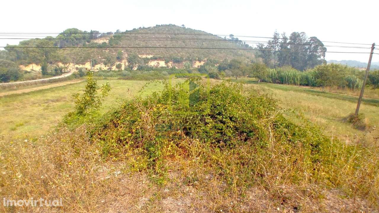 Terreno Rústico  Venda em Condeixa-a-Velha e Condeixa-a-Nova,Condeixa- - Grande imagem: 3/20