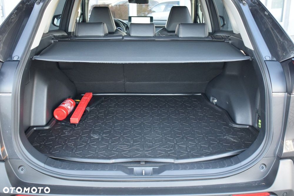Toyota RAV4 - 27