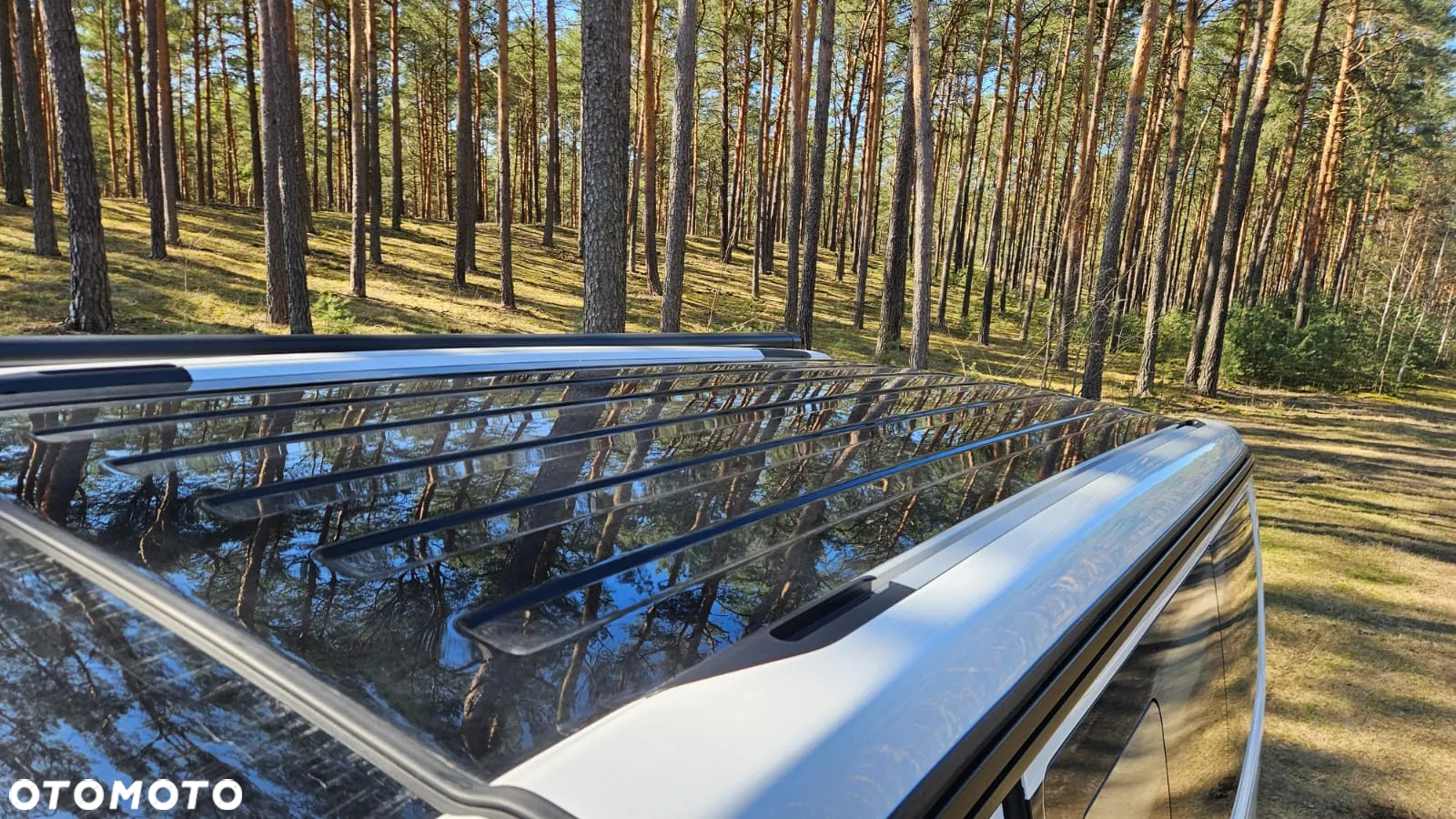Volkswagen California - 33