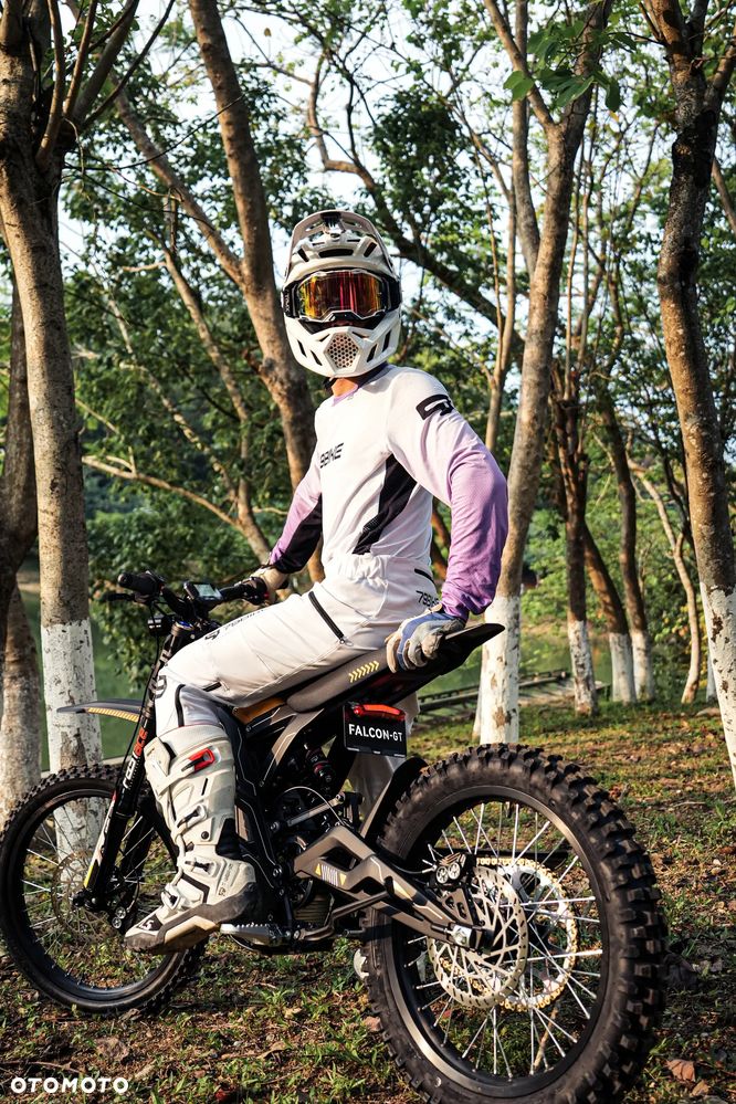 79Bike Falcon GT - 10