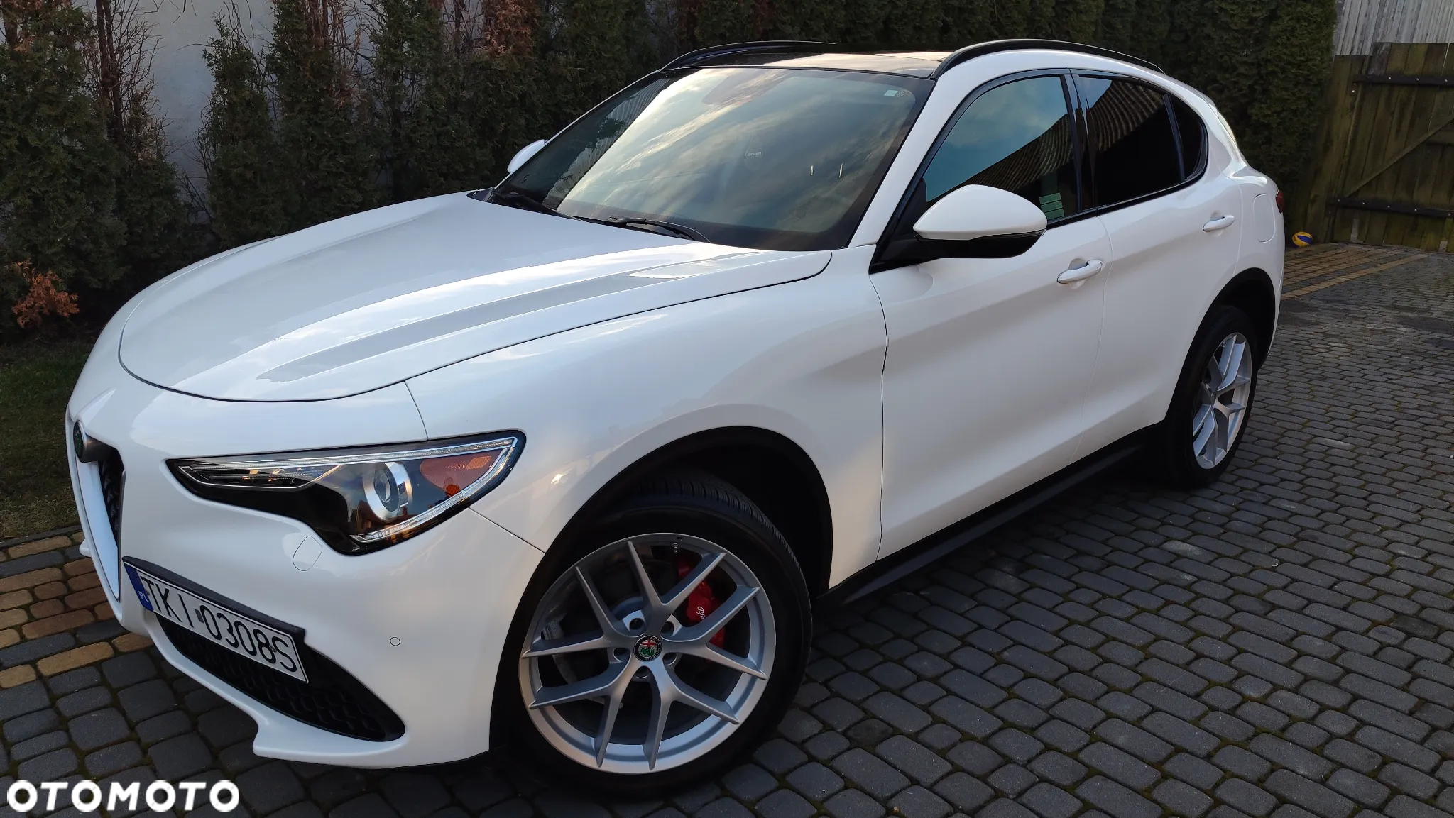 Alfa Romeo Stelvio 2.0 Turbo B-Tech Edition Q4 - 7