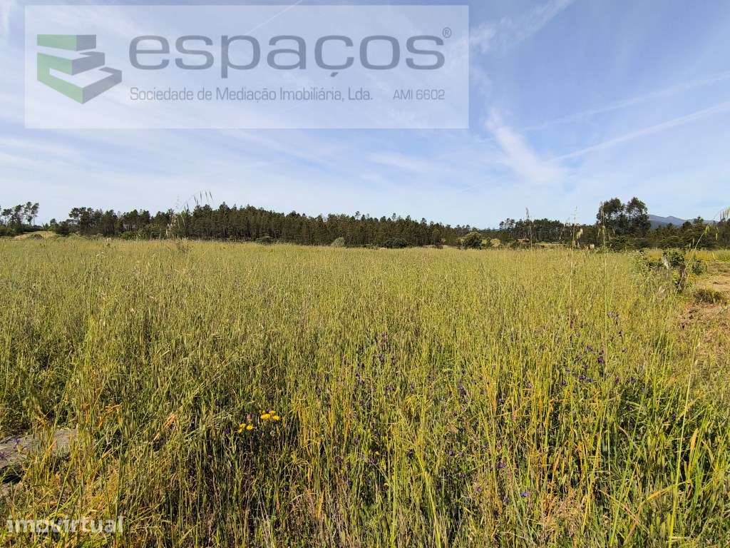 Terreno com poço - S. Domingos - Grande imagem: 2/4