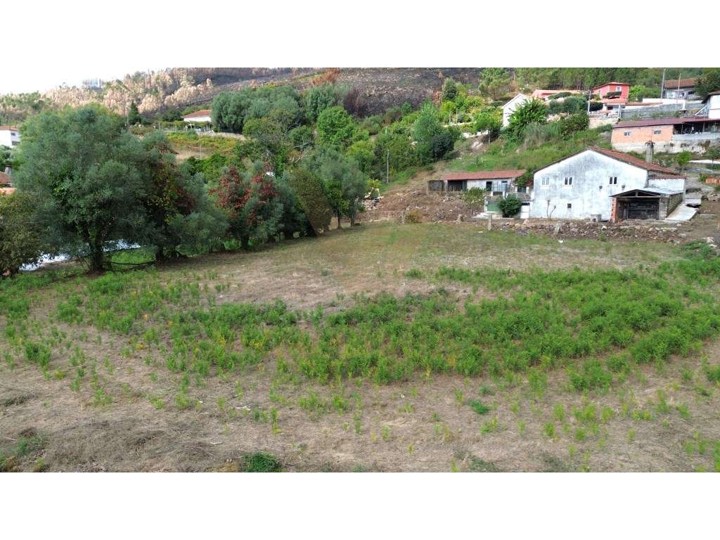 Terreno com 5.352 m² - Vitorino dos Piães, Ponte de Lima - Grande imagem: 3/8