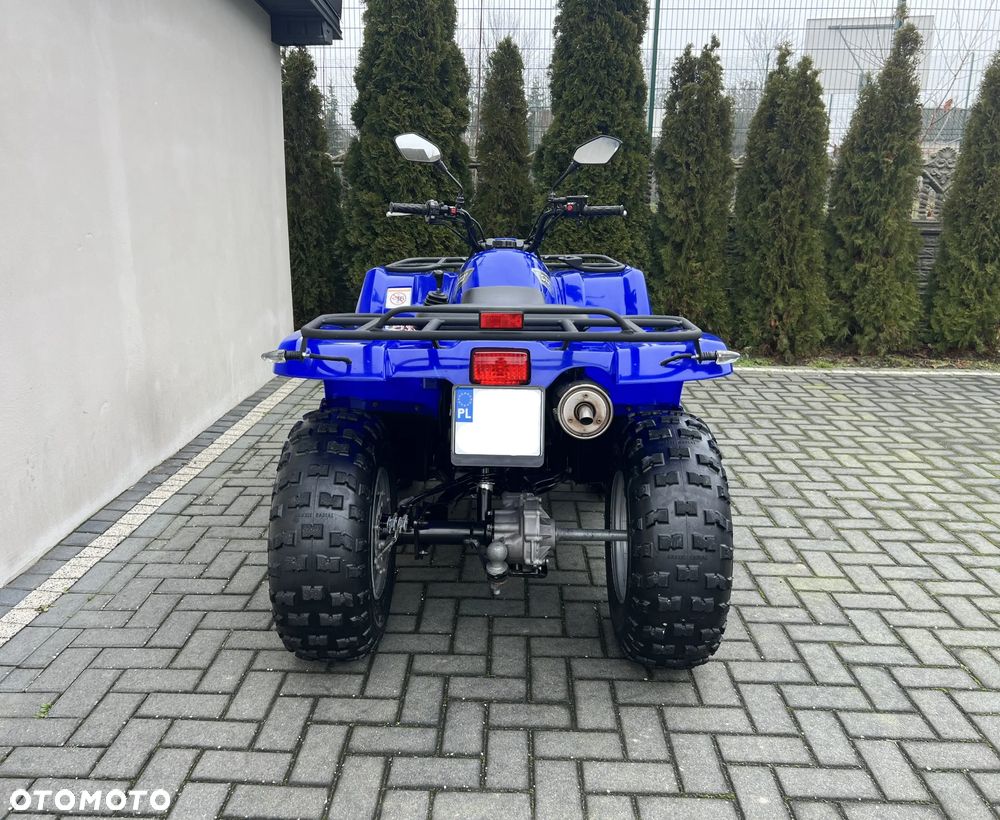 Yamaha Grizzly - 7