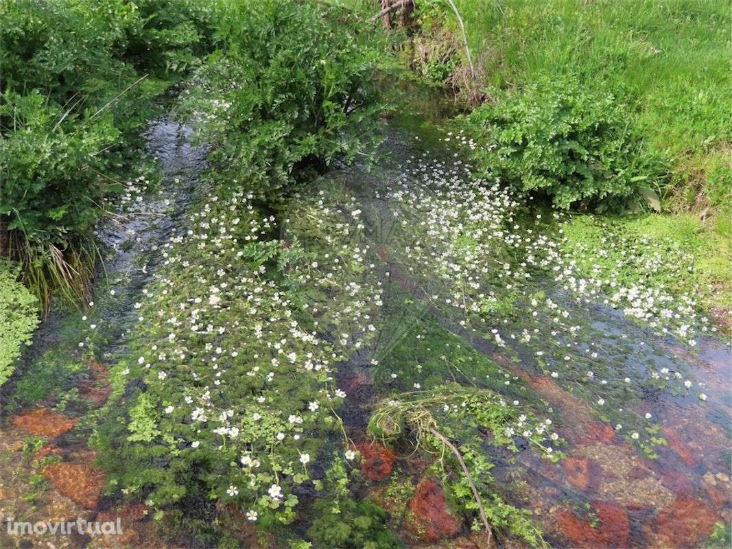 Quinta  para venda - Grande imagem: 5/22