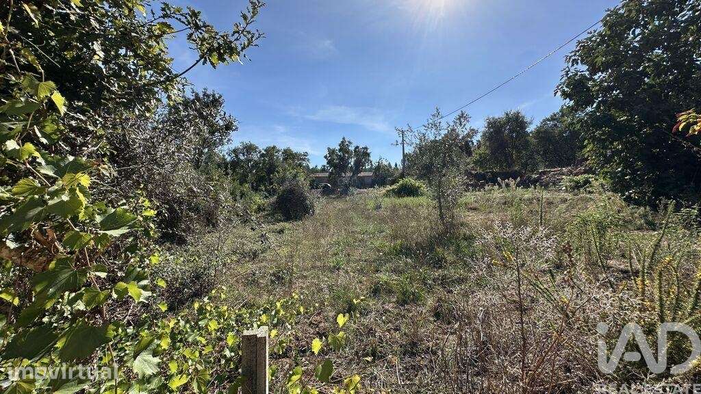 Terreno Agrícola em Graça - Grande imagem: 5/20