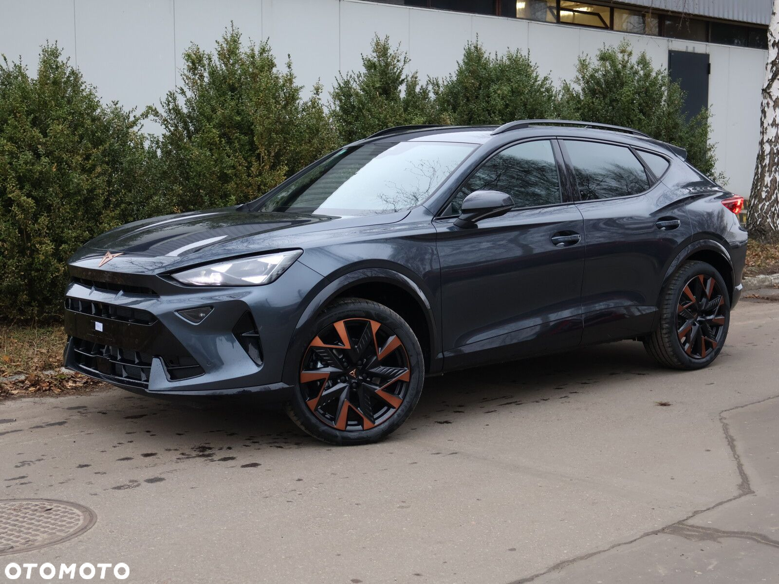 Cupra Formentor 1.5 eTSI mHEV DSG - 2