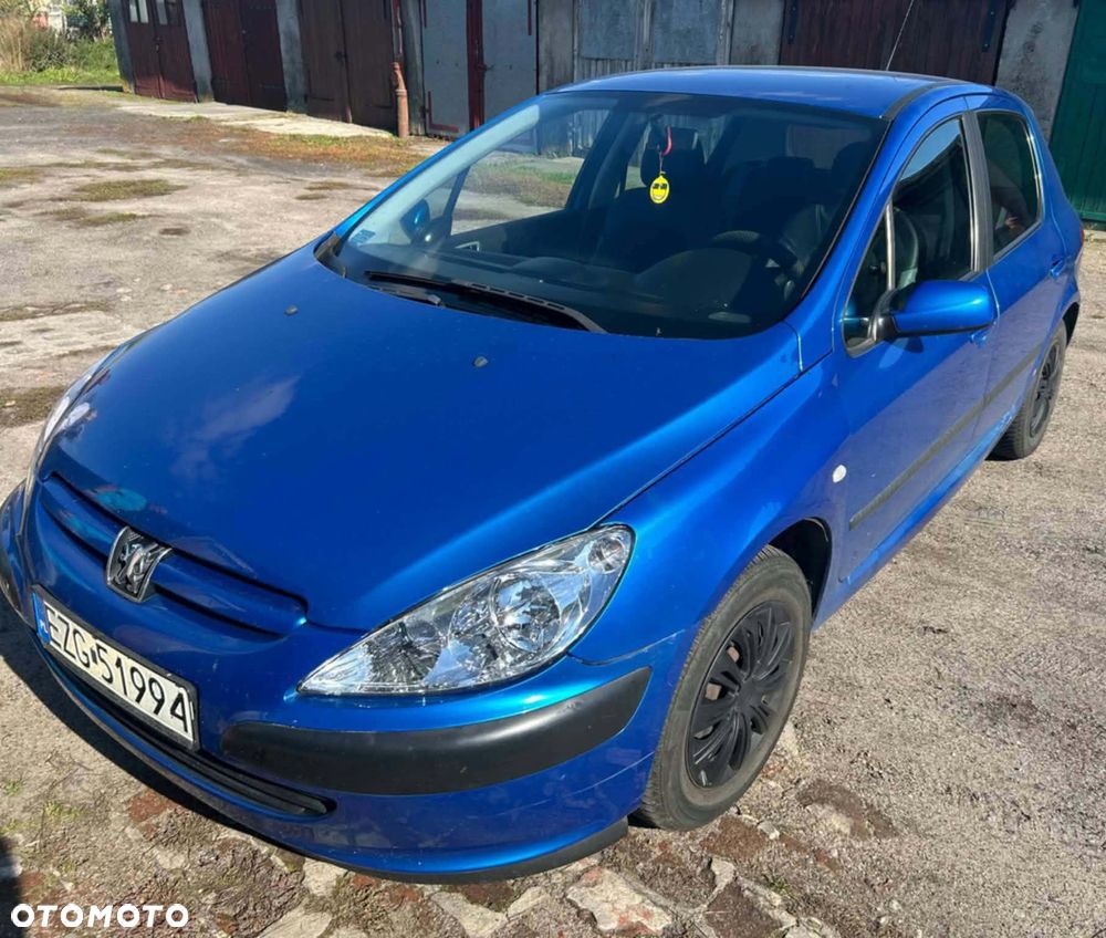 Peugeot 307 - 6