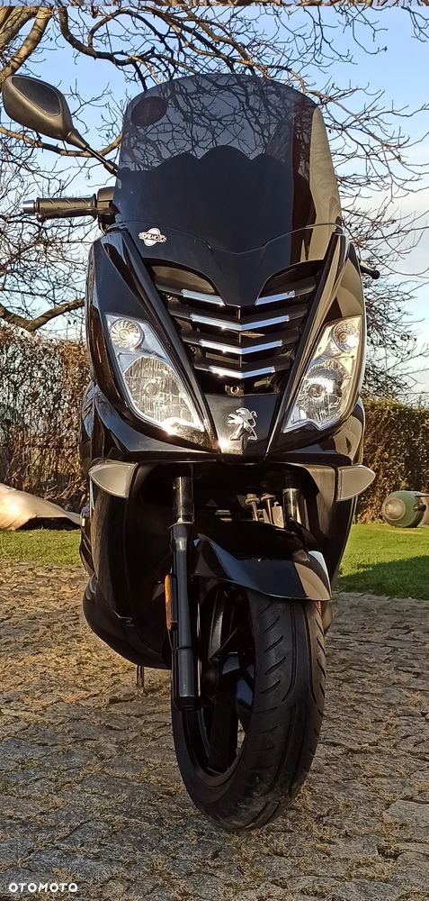 Peugeot Citystar - 4