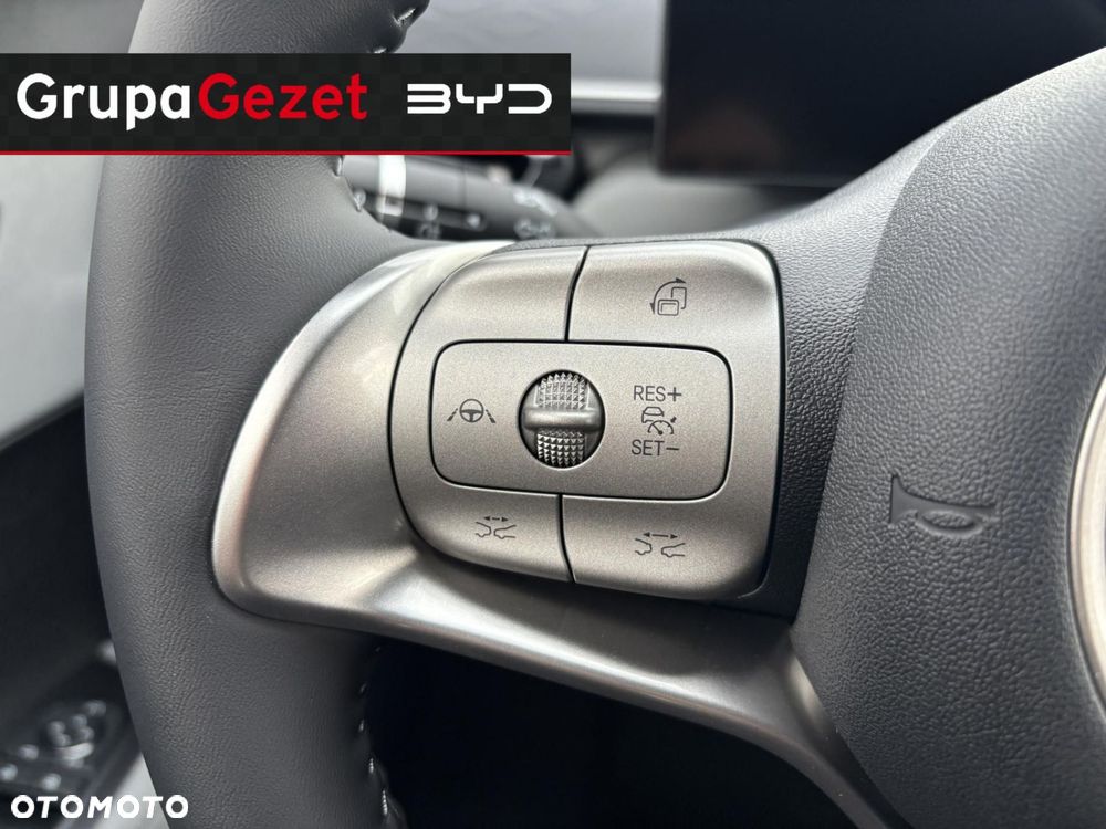 BYD Dolphin Surf 43.2kWh Boost - 13